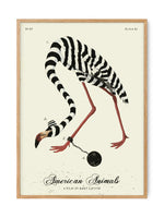 Flamingo Jail - Vintage Art | Art print Poster