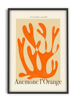 Lois - Anemone l'Orange