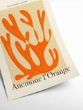 Lois - Anemone l'Orange