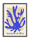 Lois - Anemone de Blue