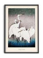 Ohara Koson - Group of Egrets