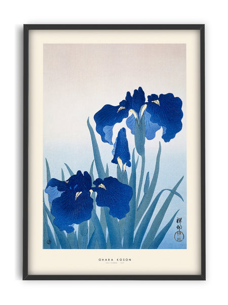 Ohara Koson - Iris flowers