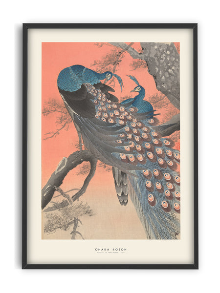 Ohara Koson - Peacocks on tree