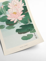 Ohara Koson - Water Lily