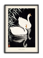 Ohara Koson - White Chinese geese