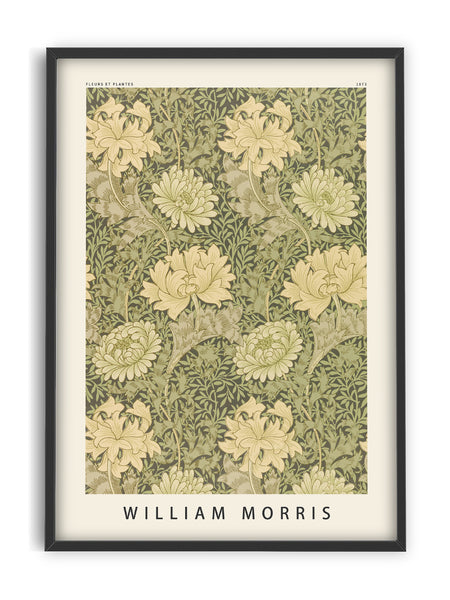 William Morris - Flowers and Plants