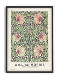 William Morris - Pimpernel