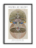 Hilma af Klint - Tree of Life