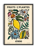 Zoe - Fruits et Plantes - Athens