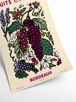 Zoe - Fleurs et Plantes - Bordeaux